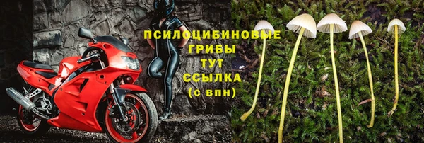 дмт Пролетарск