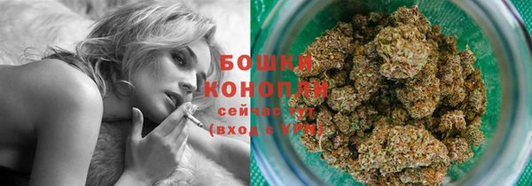 индика Абдулино