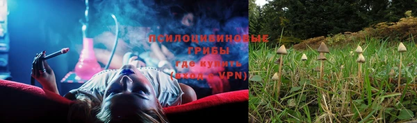 прущие крисы Алзамай