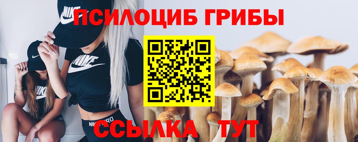 Омск  Галлюциногенные грибы Cubensis  Вход с VPN 